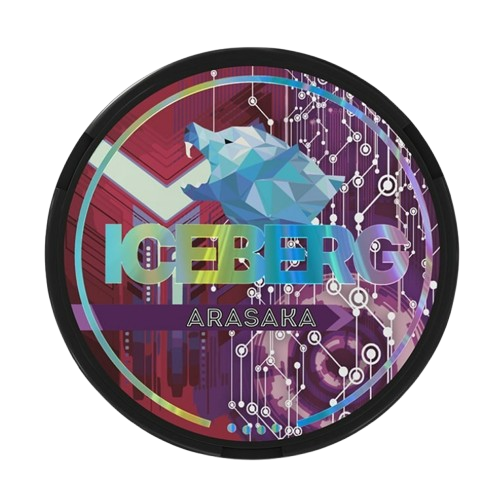 Iceberg Arasaka